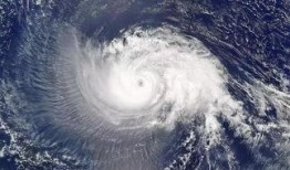 青岛台风爆料事件视频,视频揭露惊人现场